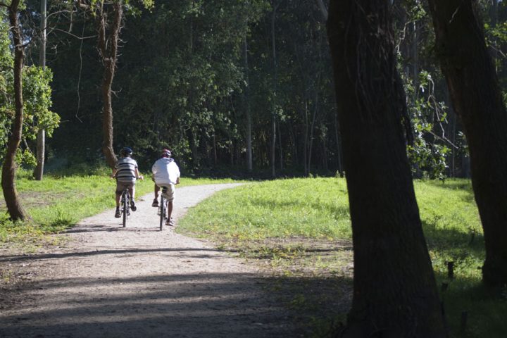 Ciclistas adentrándose en una zona de bosque