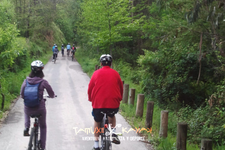 Grupo de ciclistas de ruta por el monte