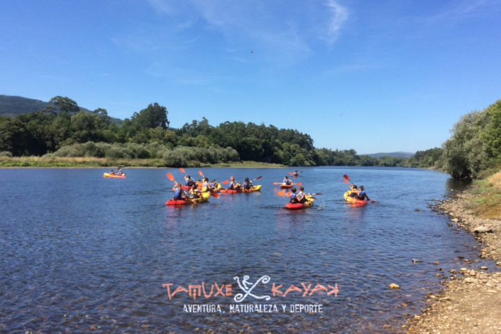 Grupo de kayaks acercándose a la orilla del río en Caldelas