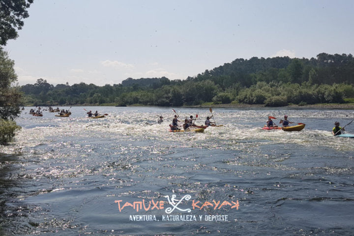 Grupo de kayaks remando en medio del río rodeados de arboles