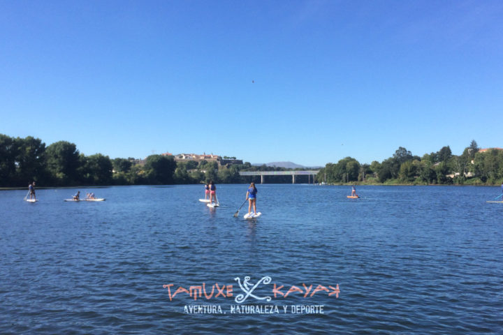 Paddle surf en grupo por el río Miño